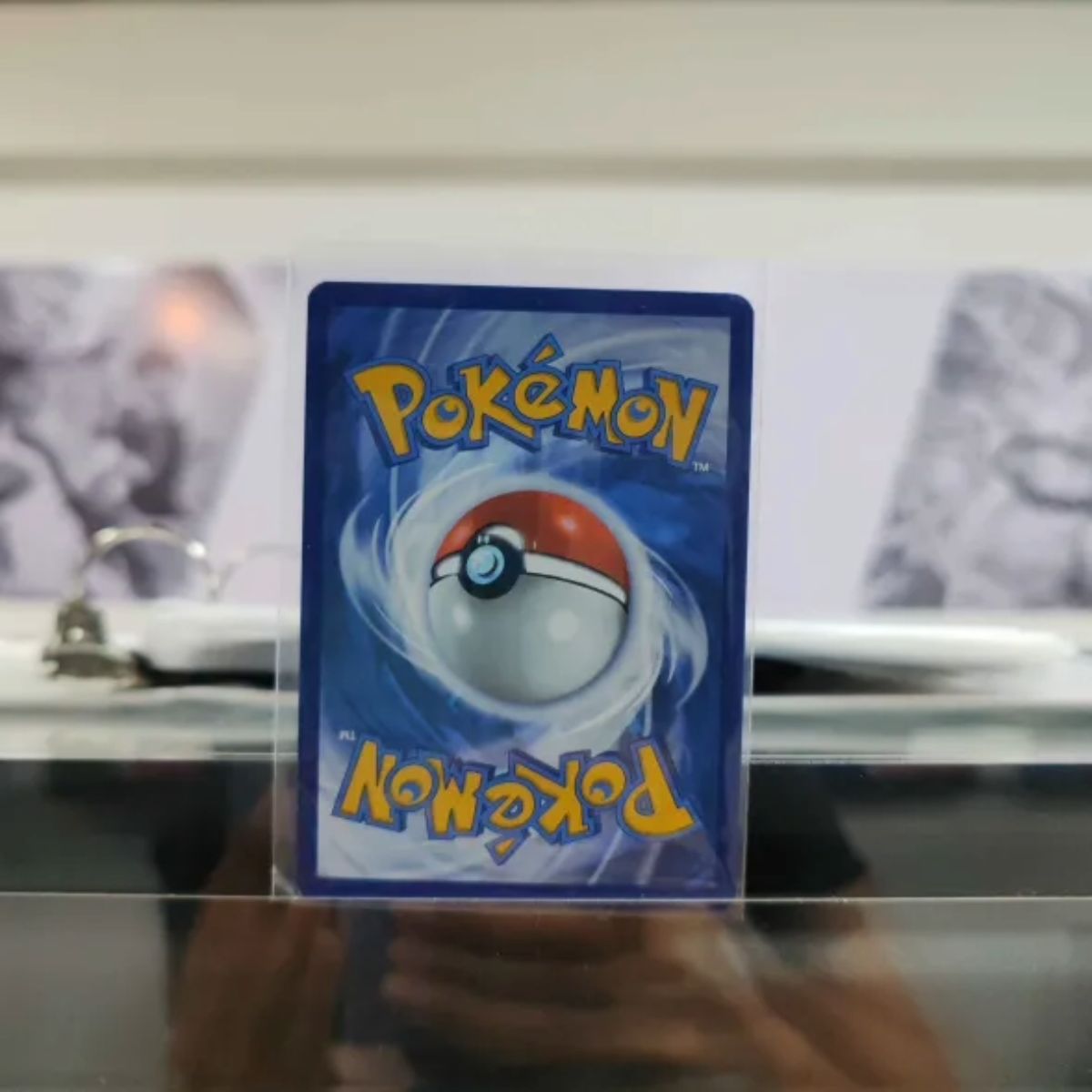 Charcadet SCR 029/142 Single Pokémon TCG