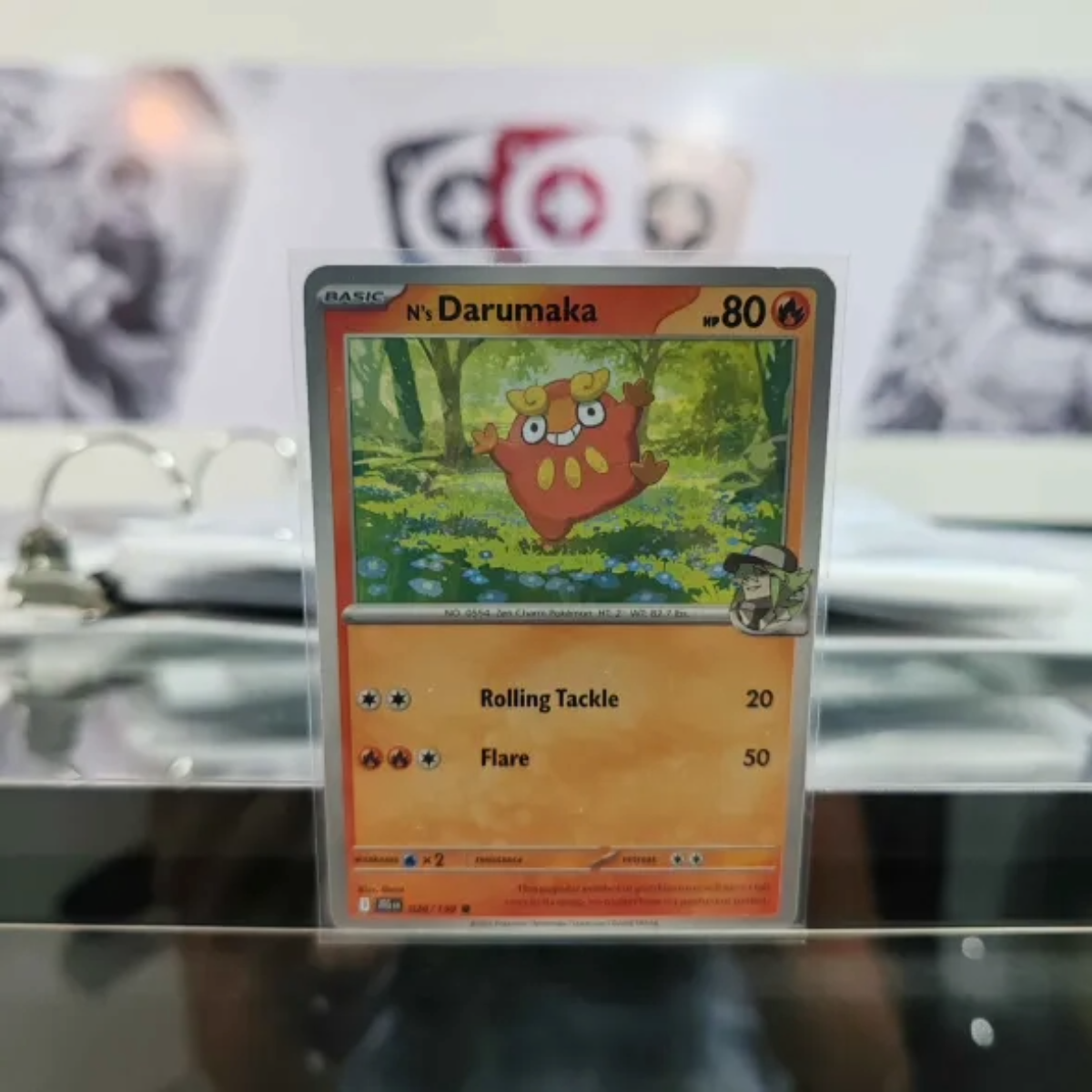 Darumaka  JTG 026/159 Single Pokémon TCG
