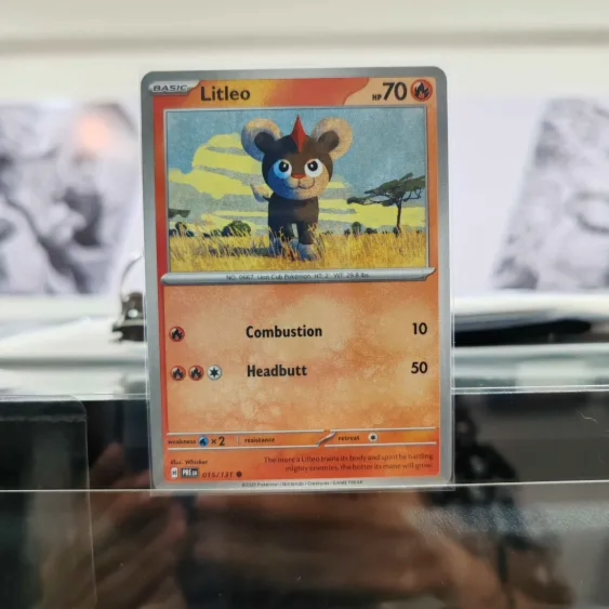Litleo PRE 015/131 Single Pokémon TCG