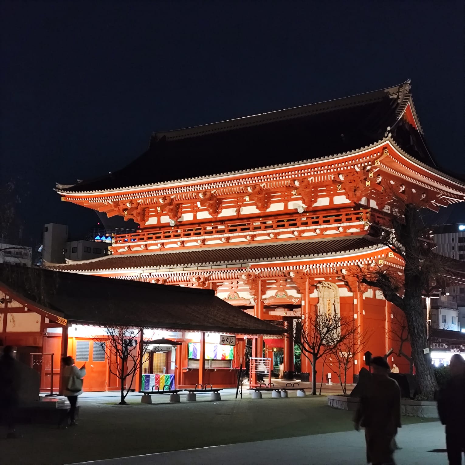 Tour Narita - Tokio - Nagano 2027